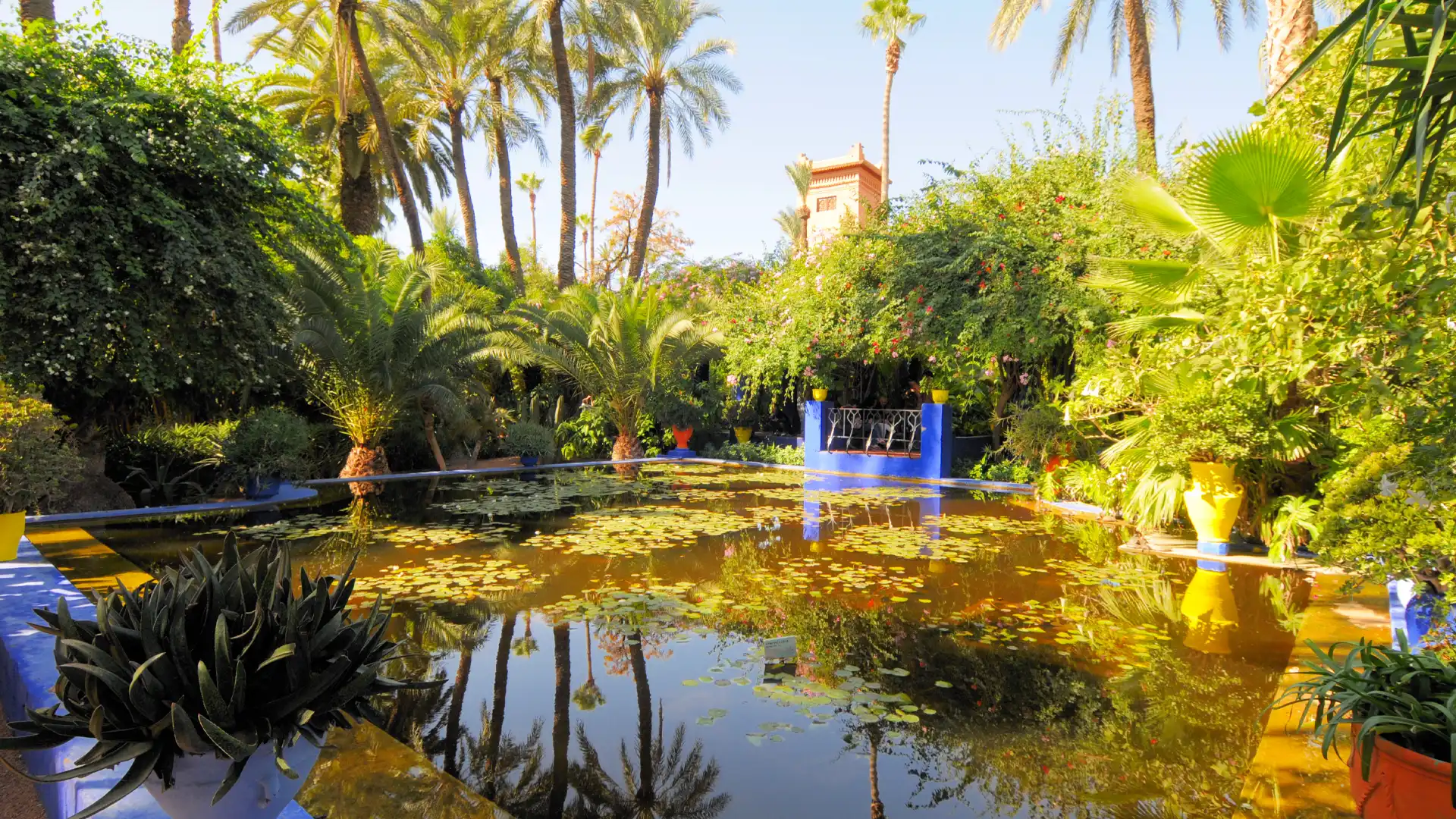 Jardin Majorelle, Marrakech, Morocco