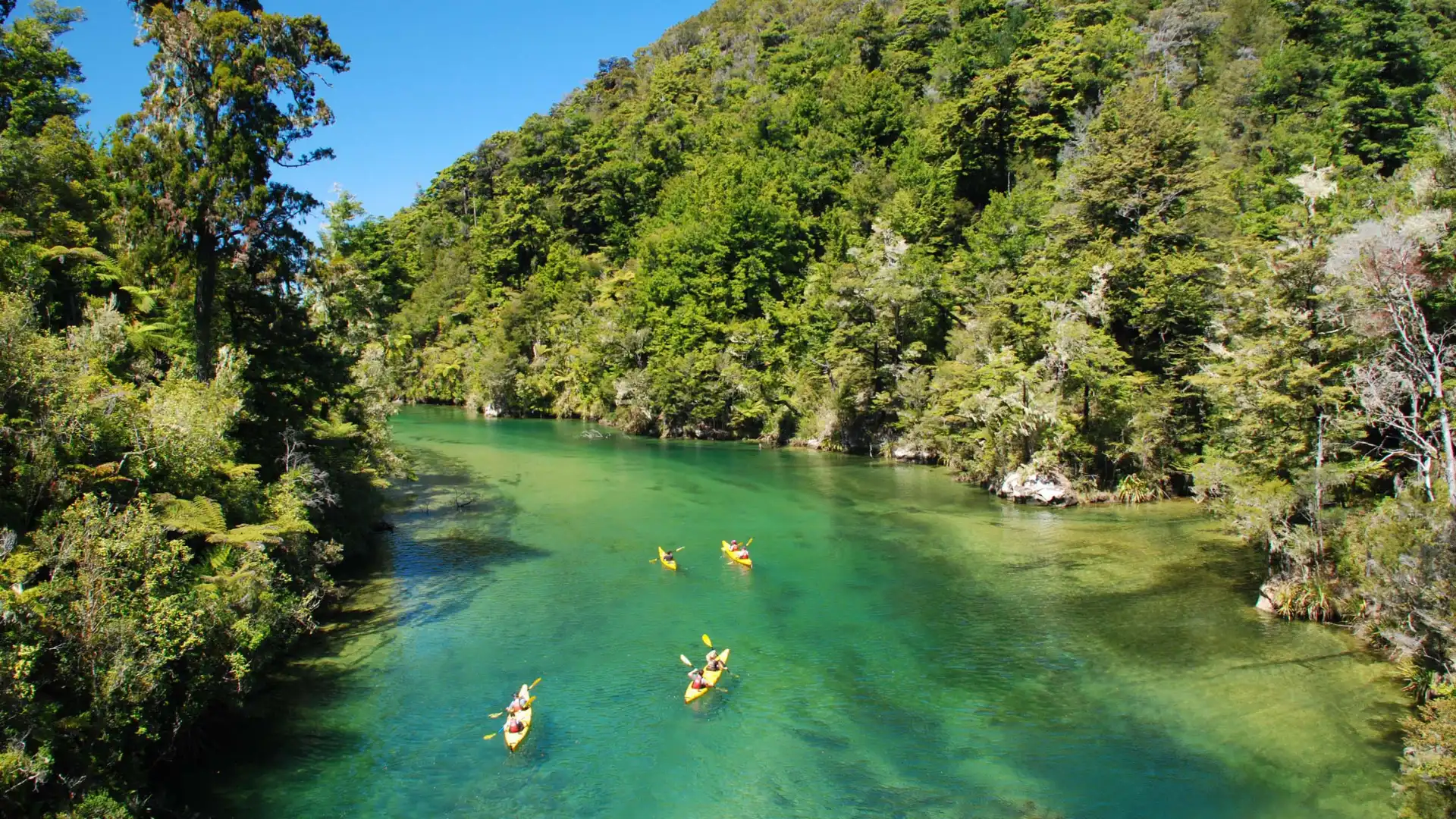 Abel Tasman National Park, Nelson, New Zealand