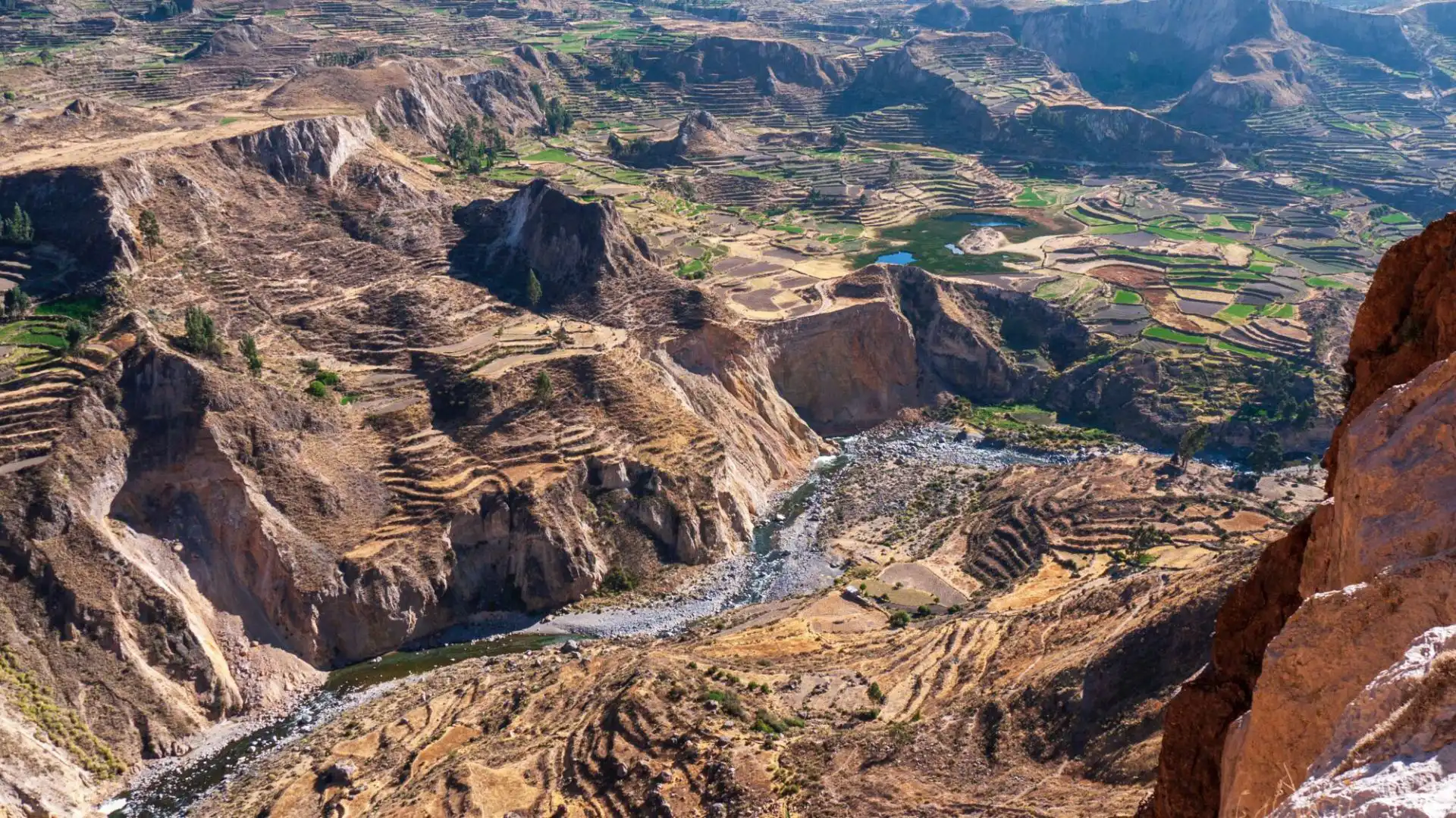 Colca Canyon, Arequipa, Peru