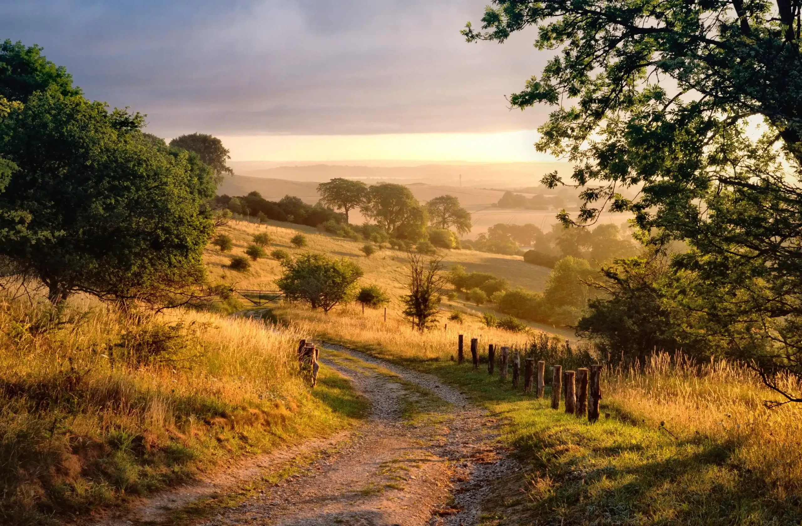 Chiltern Hills-Buckinghamshire-Oxfordshire-Hertfordshire-Bedfordshire-England