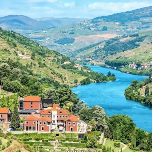 Discovering the Beauty of the Douro Valley